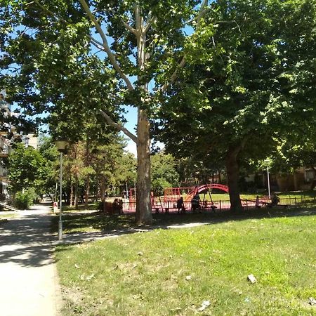 Apartman Dara - Novi Beograd المظهر الخارجي الصورة